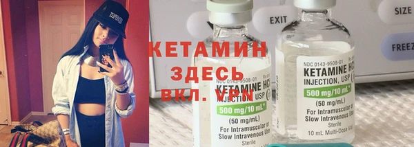 прущие грибы Абаза