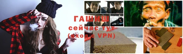 прущие грибы Абаза