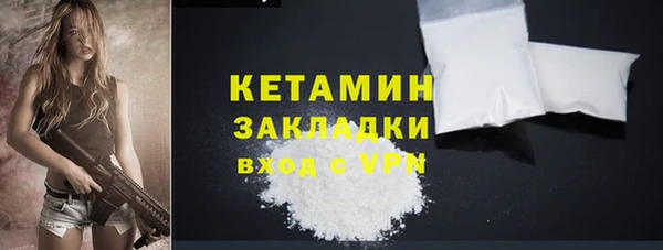 прущие грибы Абаза