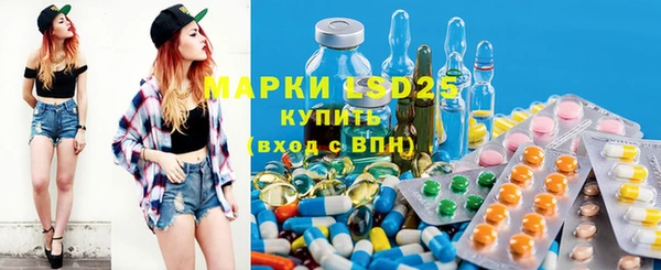прущие грибы Абаза