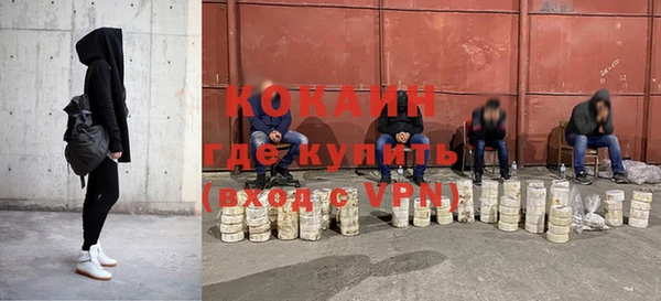 прущие грибы Абаза